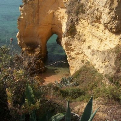 南宫体育app下载安装app下载