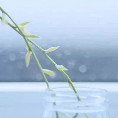 半岛bob综合登入app下载